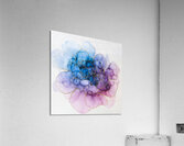 DM-FL0002  Acrylic Print