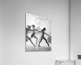 DM - Freedom  Acrylic Print