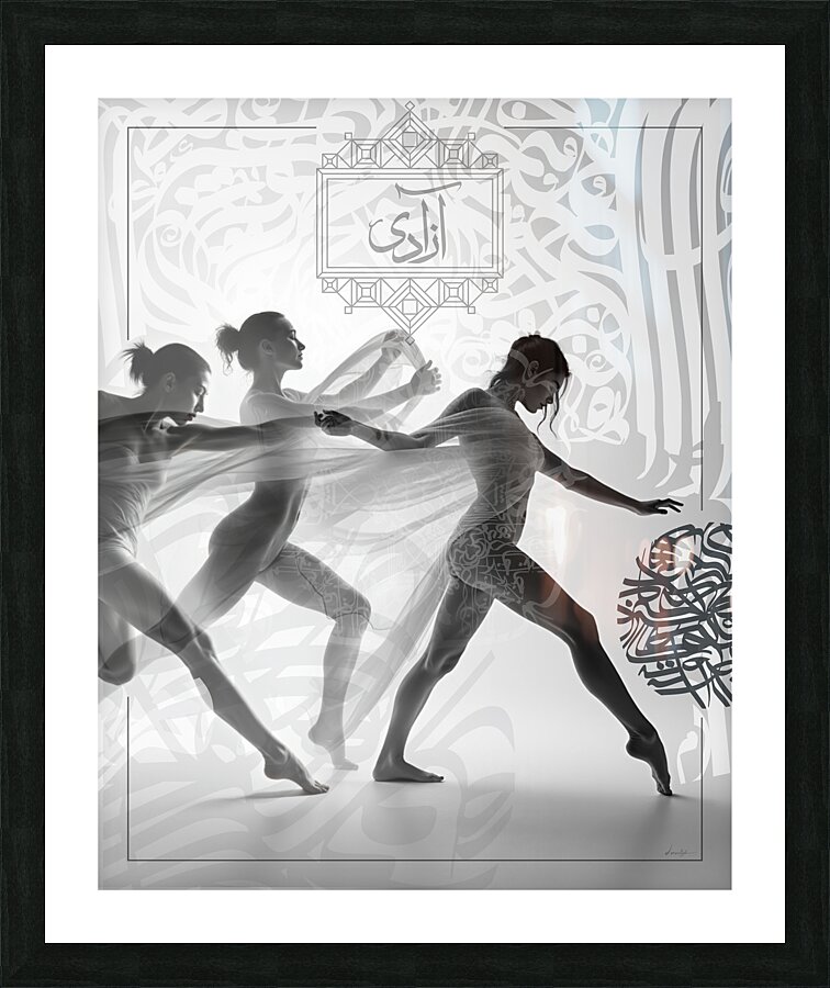 DM - Freedom  Framed Print Print
